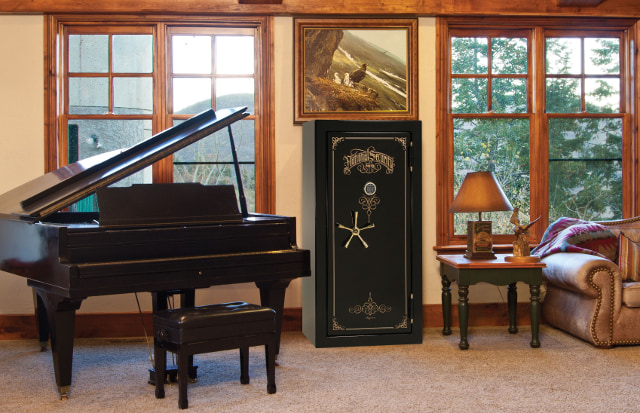 LibertySafe National Security в интерьере гостиной.